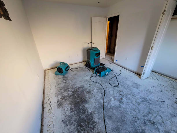 Best Water damage repair service  in Fruit Cove, FL