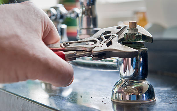 Best Professional water damage repair  in Fruit Cove, FL