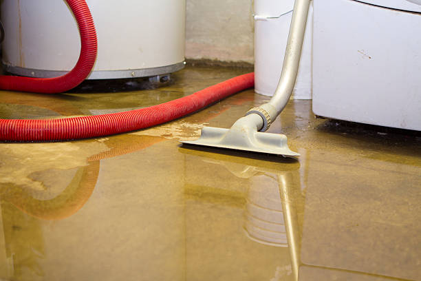 Best Water damage restoration near me  in Fruit Cove, FL