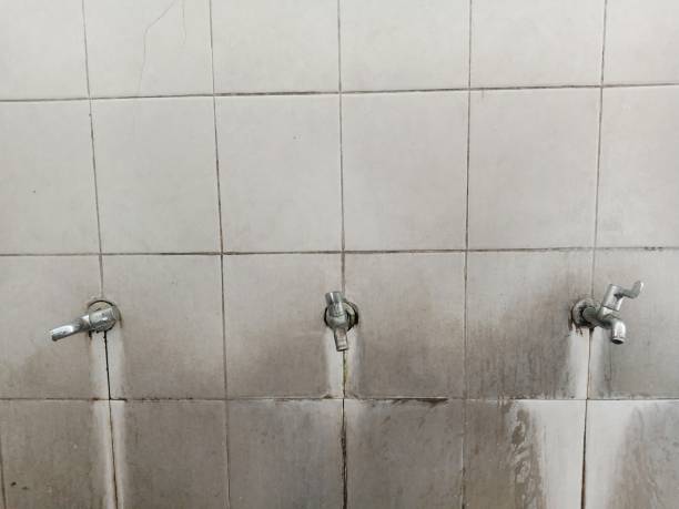 Best Mold removal after water damage  in Fruit Cove, FL