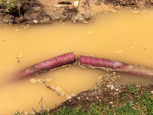 Best Water damage restoration near me  in Fruit Cove, FL