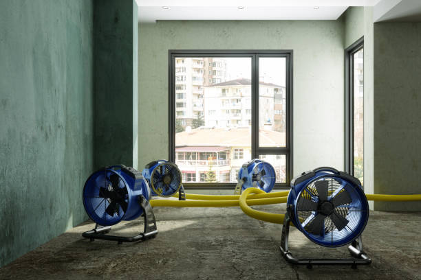 Best Water damage cleanup near me  in Fruit Cove, FL