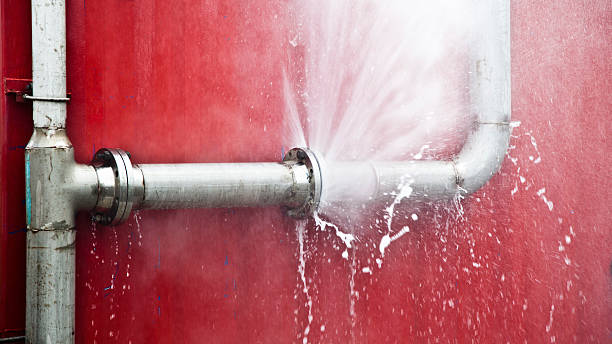 Reliable Fruit Cove, FL Water damage restoration Solutions